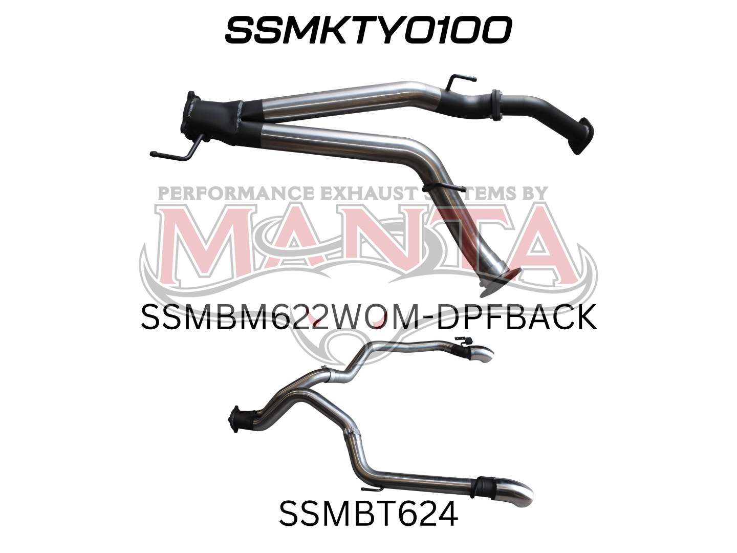 Toyota Landcruiser VDJ200 3in DPF Back Twin 3in Tailpipe, Stainless Steel