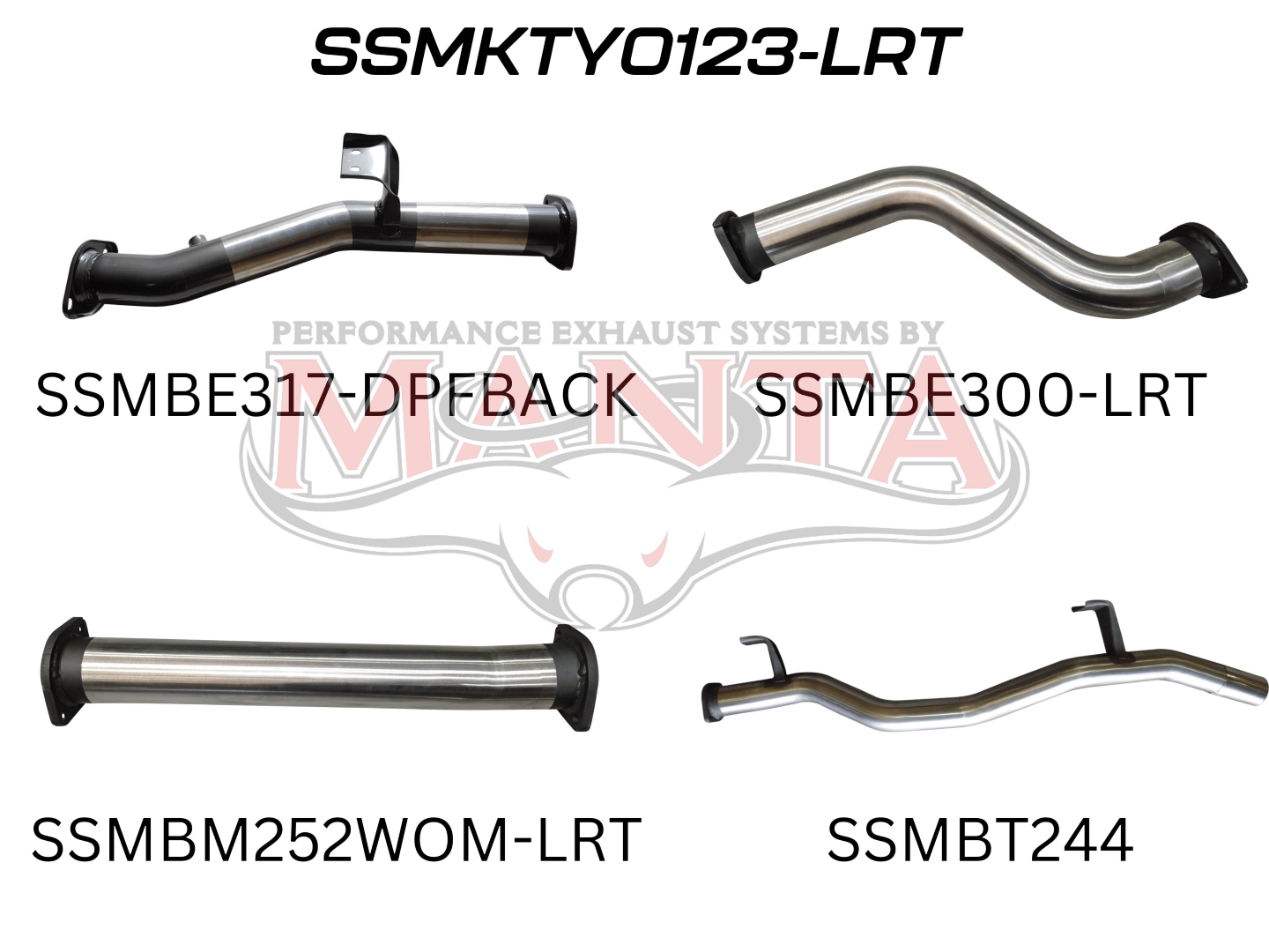 Toyota Landcruiser VDJ79 Single & Dual Cab Ute 3in DPF Back WOM, Stainless Steel