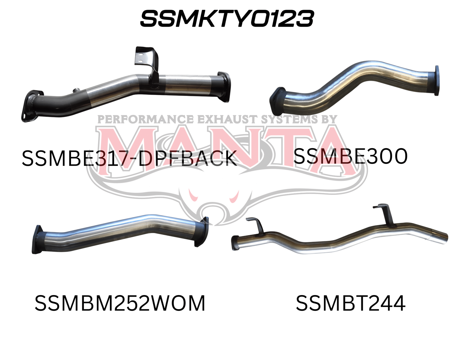 Toyota Landcruiser VDJ79 Single & Dual Cab Ute 3in DPF Back WOM, Stainless Steel