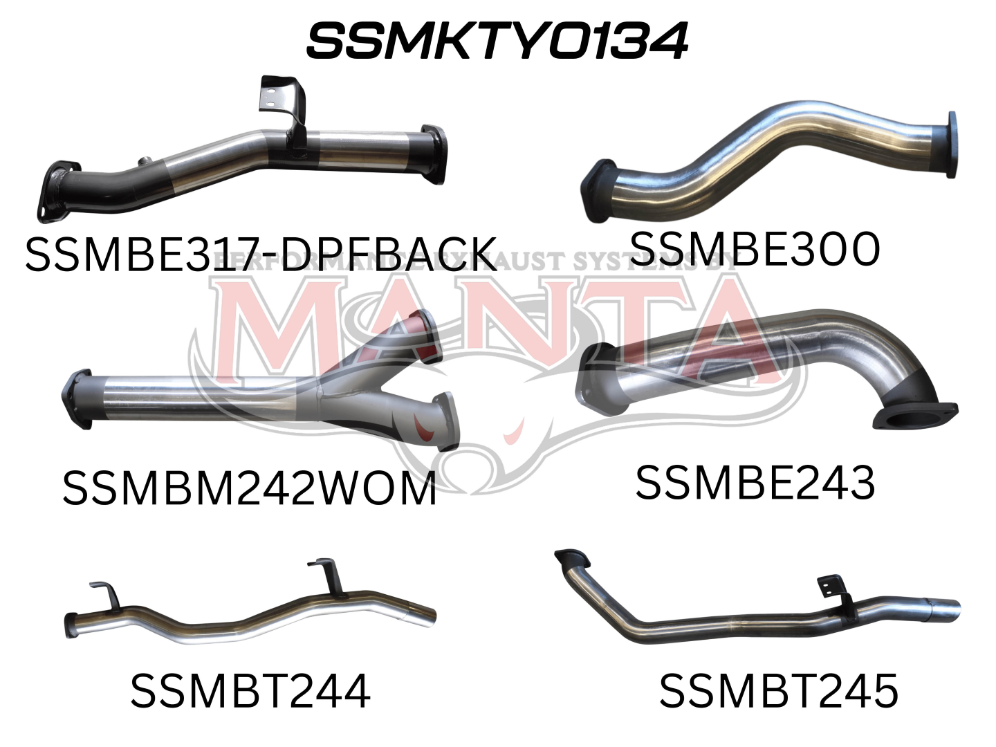 Toyota Landcruiser VDJ79 V8 Ute Dual 3in DPF Back, Stainless Steel